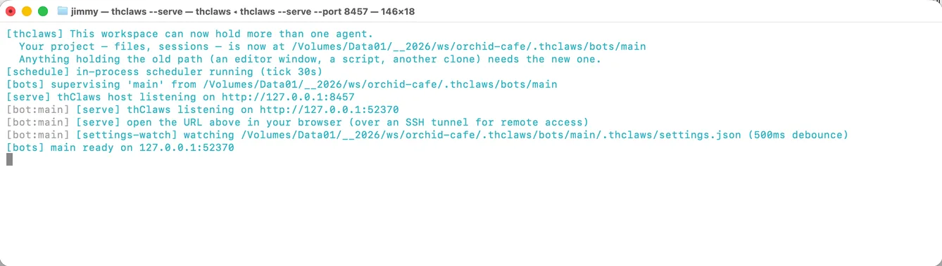 --serve on launch — the host URL, then the per-agent URL to open in a browser